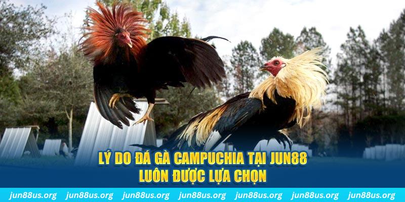 f8bet vip tài xỉu nổ hũ là gì