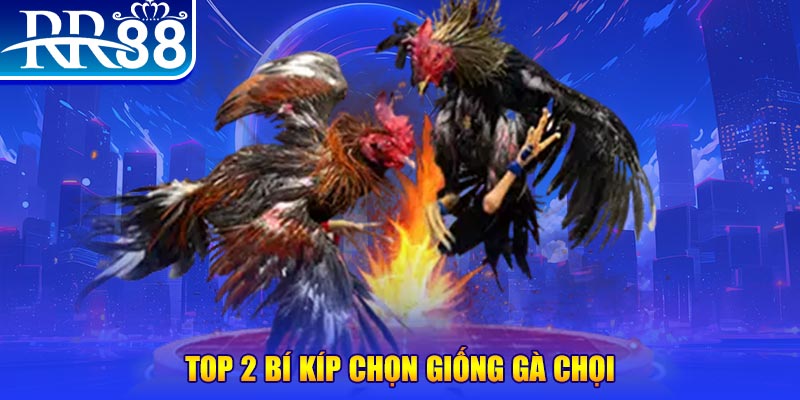 f8bet vip đăng nhập roulette dễ thắng