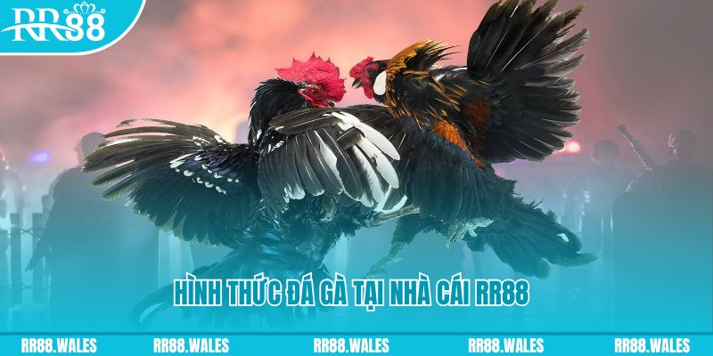 f8bet vip PS Điện Tử