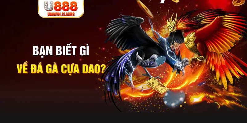 f8bet vip xổ số kiến thiết