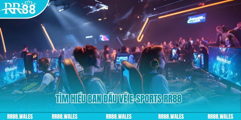 f8bet vip Đĩa màu ace