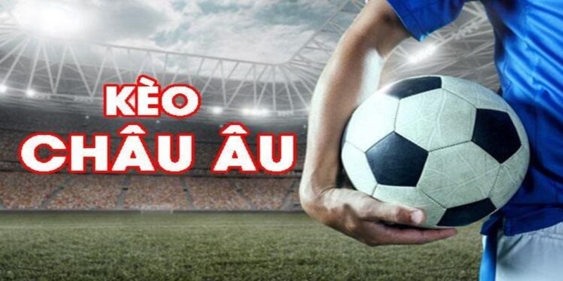 f8bet vip đá gà trực tiếp casino