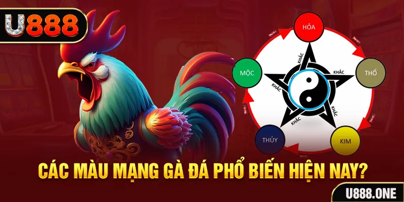 f8bet vip đăng nhập mậu binh