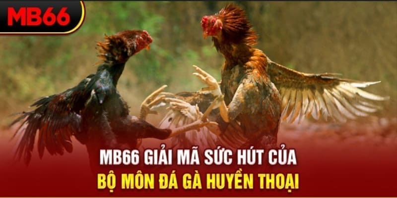 f8bet vip Phi Đội Ưu Tú