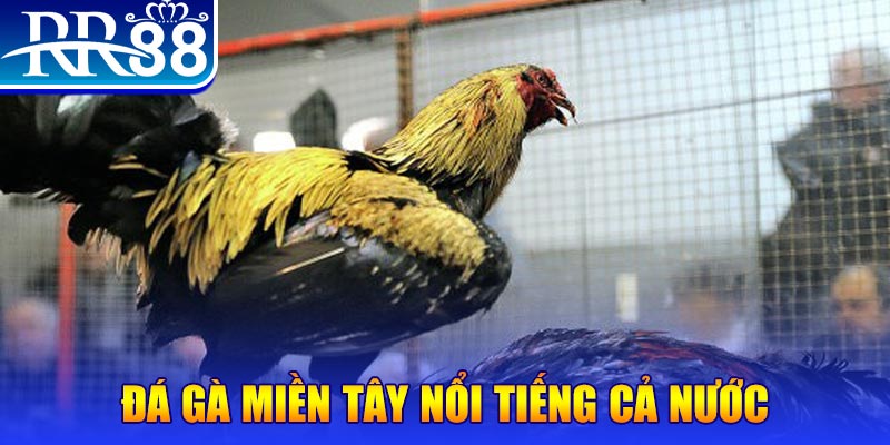 f8bet vip gà chọi c1.com trực tiếp 888
