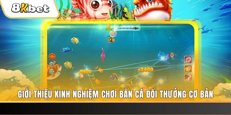 f8bet vip xổ số miền bắc thứ năm hàng tuần