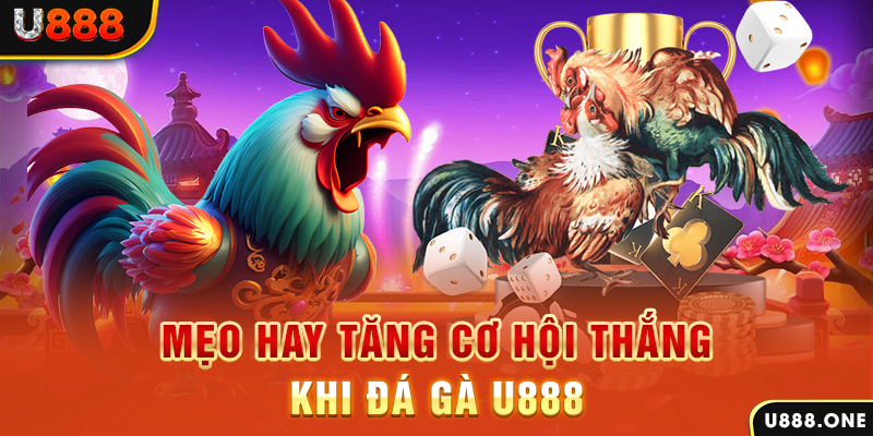 f8bet vip trực tiếp gà chọi c1