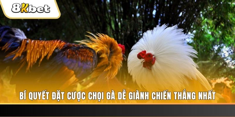 f8bet vip Tài Xỉu 2