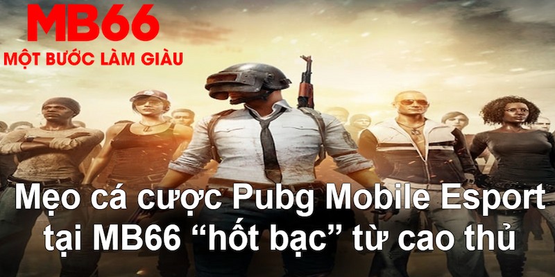 f8bet vip gà chọi mộc hóa